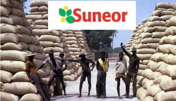 Cession de la Suneor : Pape Dieng réclame des milliards à Jaber