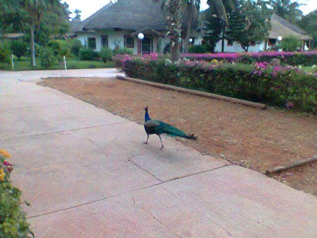 L’hôtelier : L’art d’accueillir et de bien gérer