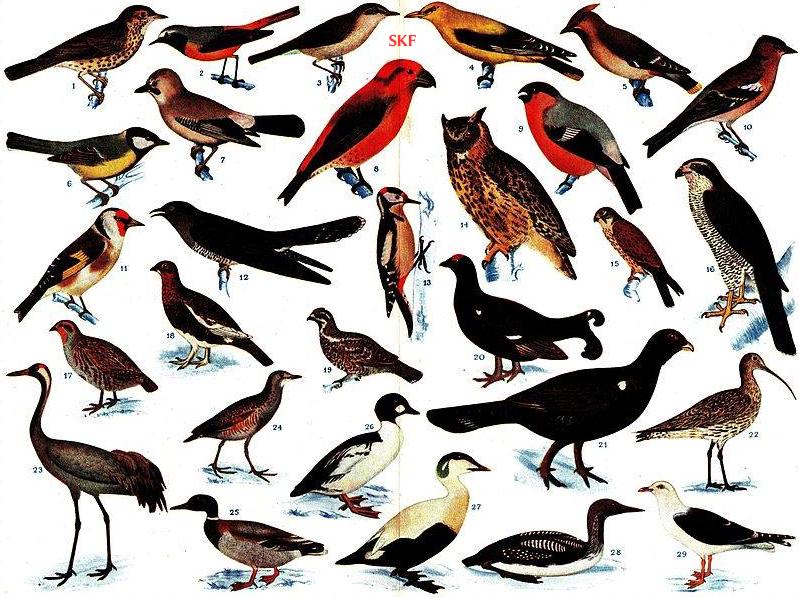 Chronique de Tambacounda : L’arbitre a fait de nous des adversaires ; le quartier des frères.