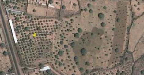 Vers un manuel de procédures et des recueils fonciers (responsable)