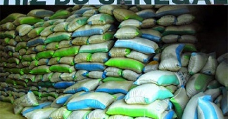 Le riz parfumé introuvable sur le marché