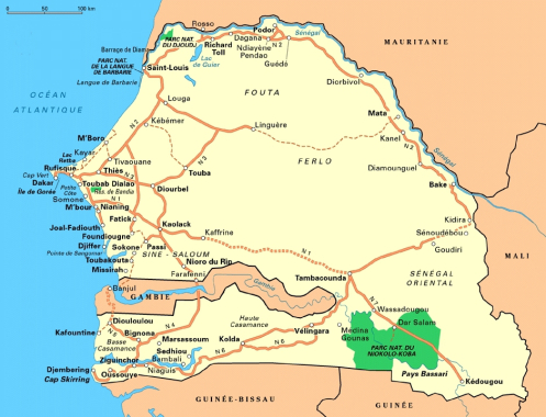 Vélingara : Partenariat Sénégalo-Italien ACCRA-CCS Italie en partenariat avec l’Association Gunée De Kolda, vers une création d’emplois à Diaobé pour lutter contre l’émigration clandestine.