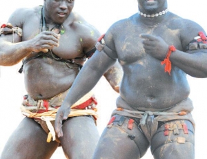 Lutte-Ness vs Sa Thiès: le retour risqué de la «Baleine» de Lansar