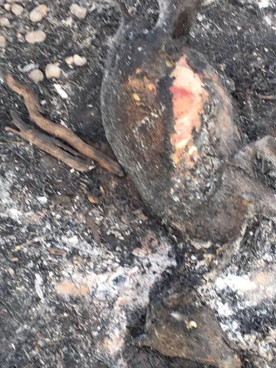 Incendie Dakaa: Plus d'une vingtaine de morts, plusieurs blessés graves - Regardez ces images qui parlent....