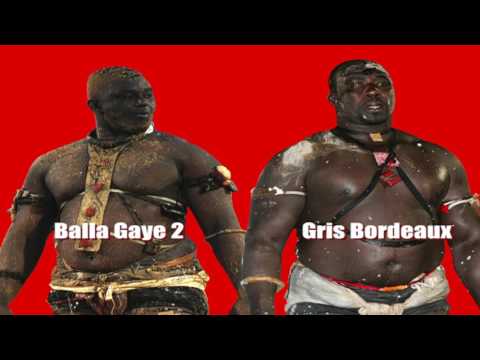 Les vrais cachets du combat du 1er janvier 2018: balla 70 millions, gris bordeaux 60