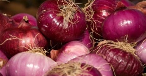 Consommation : L'Uncs dénonce la flambée des prix de l'oignon