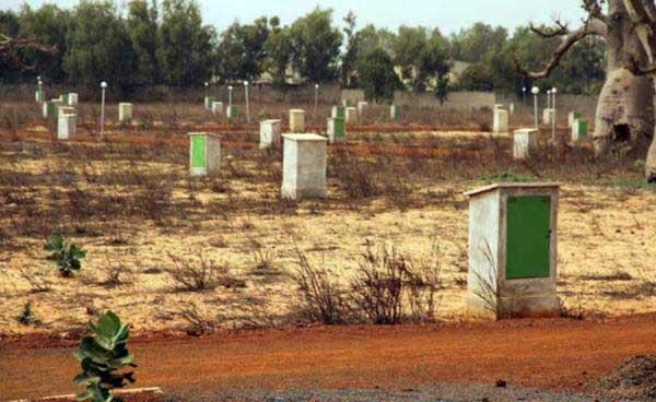 Une mafia foncière démantelée à Ngor et aux Almadies