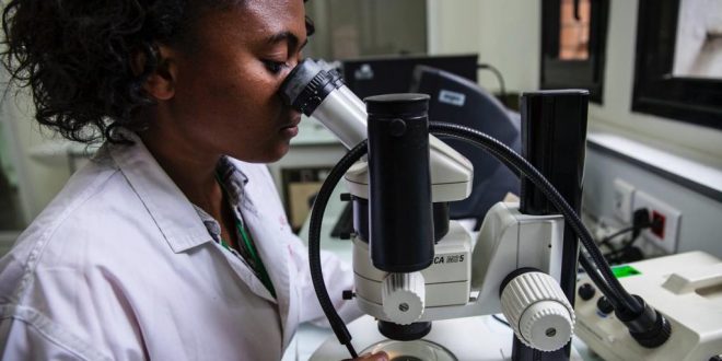 Epidémie de peste à Madagascar: comment se protéger de la maladie?
