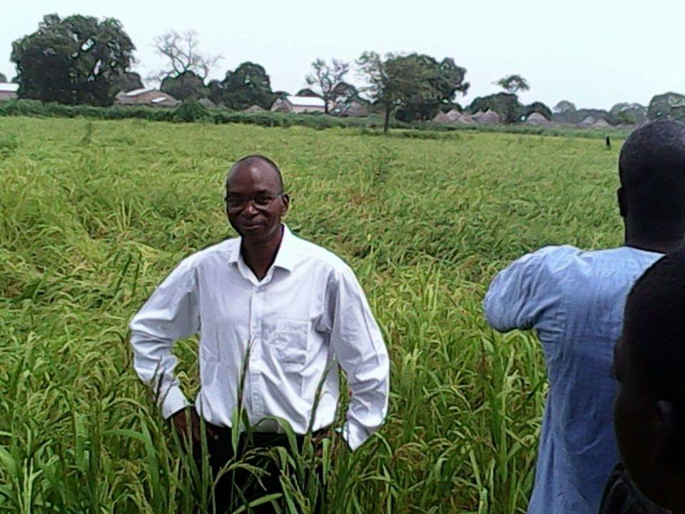 Moussa Baldé (Dg Sodagri) : "Le Sénégal a multiplié sa production de riz par 3 en 3 ans"