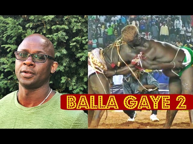 Aly Ndiaye : « C’est dommage que Balla Gaye et Gris Bordeaux…… »