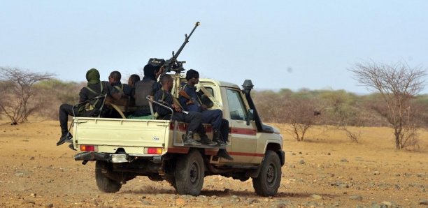 Niger: qui sont les «bandits armés» qui sévissent aux frontières du pays?