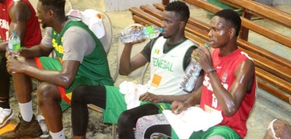 Abdourahmane Ndiaye, coach des Lions de basket : « Pape Moustapha Diop et Oumar Branco Badio sont audacieux et… »