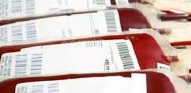 Matam : 85 poches de sang collectés pour l'hopital régional