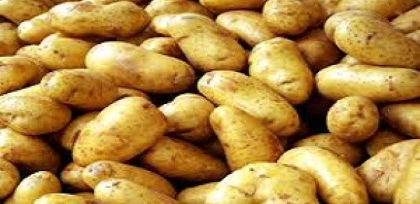 Pourquoi la pomme de terre est rare sur le marché