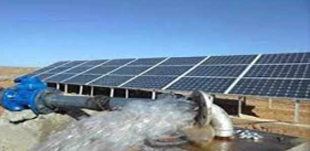 Le FONGIP vient en appui aux agriculteurs des Niayes avec un financement de 400 millions