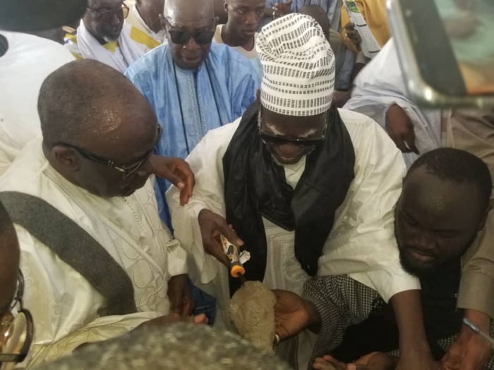 UNIVERSITÉ DE TOUBA - La première pierre posée par le Khalife des Mourides...Touba Ça Kanam dégaine 100 millions séance tenante