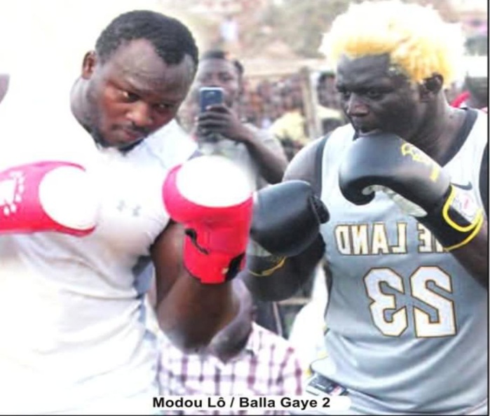 [REPLAY] Revivez le face-à-face Balla Gaye 2 VS Modou Lo à Kaolack