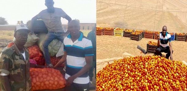 Aly Ngouille expose les récoltes de sa ferme agricole