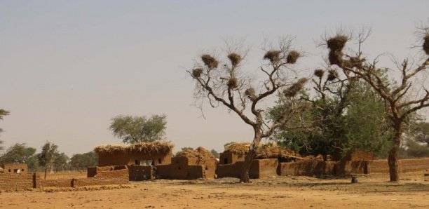 Plus de 100 peuls tués au Mali : Des blessés racontent l'horreur