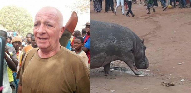 Kédougou : Ce que risque le chasseur qui a tué l'hippopotame