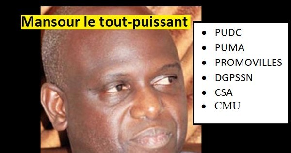 1000 milliards à gérer, Mansour Faye est devenu le plus puissant des…Ministres
