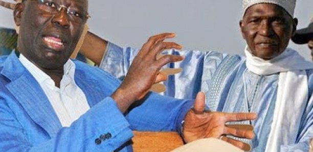 Babacar Gaye (Pds) : "Macky doit accorder à Wade les mêmes faveurs qu'il offre à Diouf"