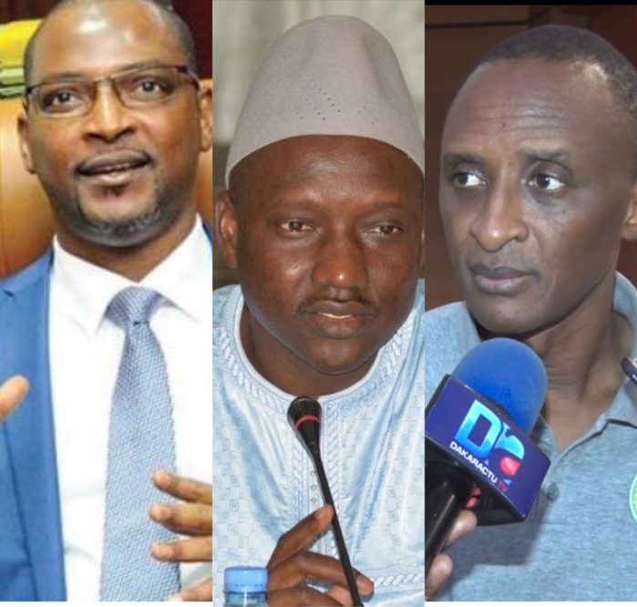 Mame Boye Diao hérite de la Direction des Domaines, Yaya Abdoul Kane casé à l'AGPBE, Abdoulaye Sow au COUD