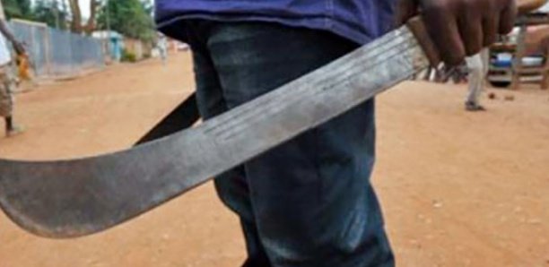 Bayakh : Un individu viole et charcute sa logeuse