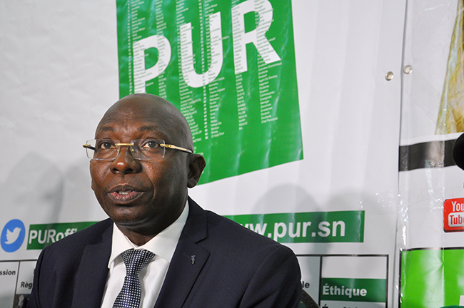 Drame de Tamba : Les 11 gorilles du Pur libérés