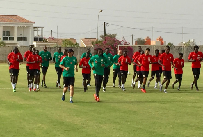 Stage de préparation d’avant CAN 2019 : 20 Lions pour un léger premier galop d'entraînement