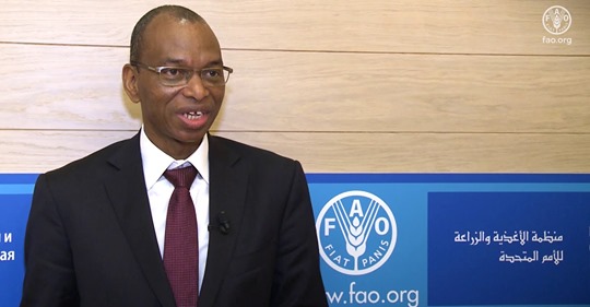ROME : Le ministre de l’Agriculture Moussa Baldé reçu à la FAO.