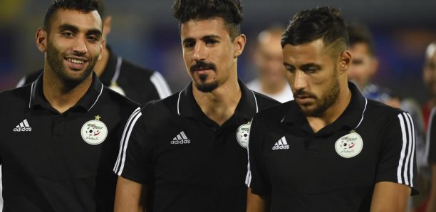 CAN 2019: Les Algériens sont «prêts» pour le choc contre le Sénégal