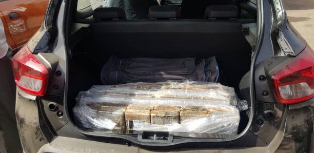 Cocaïne volée au Port : Les commanditaires courent toujours