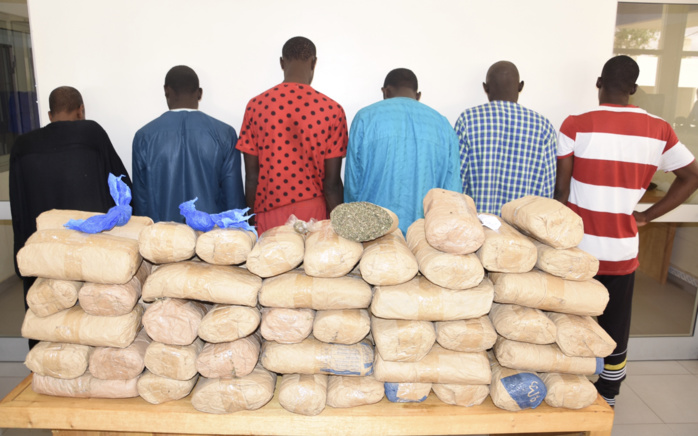 Pire / Saisie de 89 kilogrammes de chanvre indien : Six personnes arrêtées et placées sous mandat de dépôt