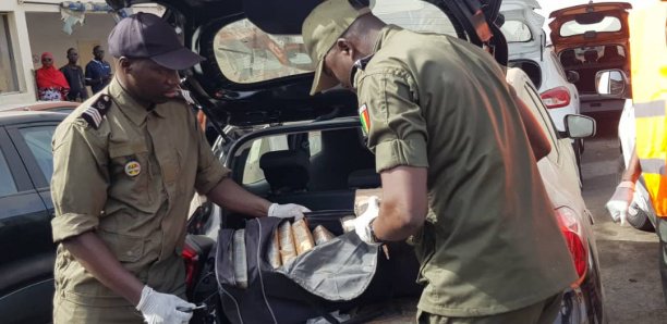 Saisie de drogue au Port : L'envoyé spécial du cartel tombe