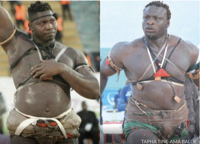 Lutte : Ama Baldé contre Tapha Tine, les négociations se poursuivent