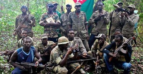 Paix en Casamance: Le Comité des droits de l’Homme des Nations Unies fait des recommandations au Sénégal