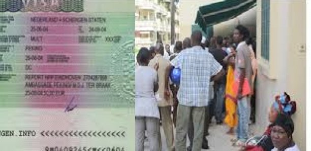 Conditions d'obtention du Visa Schengen: "le danger qui se cache derrière le durcissement" (Ong)