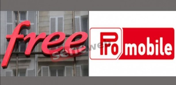 Utilisation de son support technique : Free ‘’demande 5 milliards’’ à Mbackiou Faye