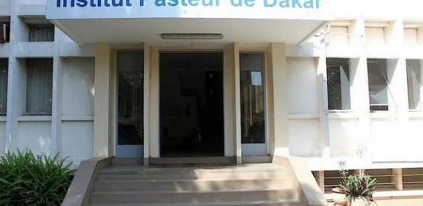 Faux tests, souche Covid-19, rôle : Les vérités de l’Institut Pasteur de Dakar