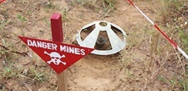 Bignona : Un véhicule de l'armée saute sur une mine, 8 militaires blessés