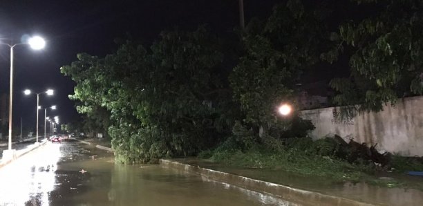 Premières pluies à Dakar : 1 mort, 3 personnes électrocutées…