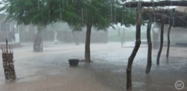La pluie s'annonce sur la quasi-totalité du territoire sénégalais, cette nuit