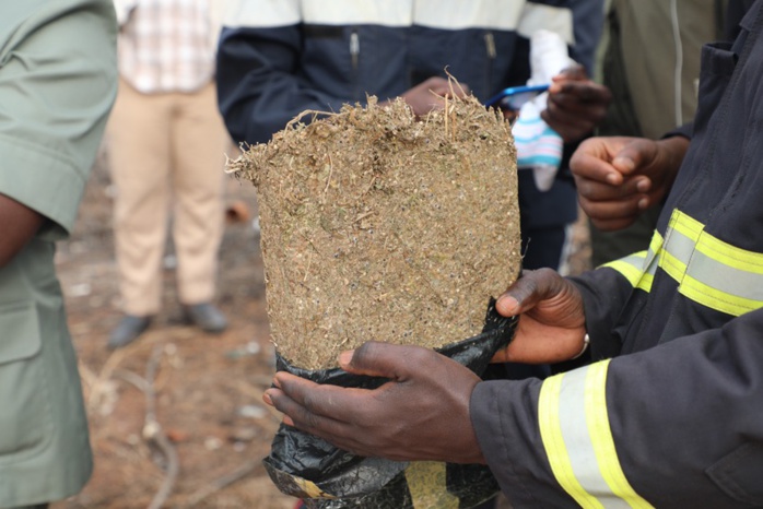 Ziguinchor : Un conducteur de moto jakarta cueilli avec 4.5 kg de yamba.