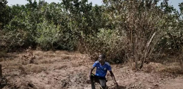 Le conflit casamançais, un fardeau politique et sécuritaire pour l'État sénégalais