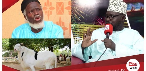 "Been kër, been xàr" : Oustaz Al Amine Dramé contredit Oustaz Alioune Sall