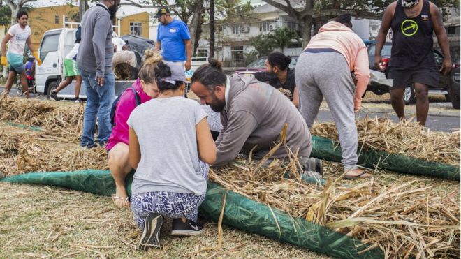 Marée noire sur l'île Maurice : les habitants mobilisés pour contenir les dégâts environnementaux