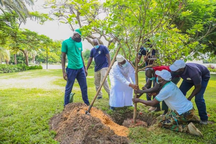 Reboisement - Macky Sall a planté son 5ème arbre depuis qu'il est au Palais (photos)
