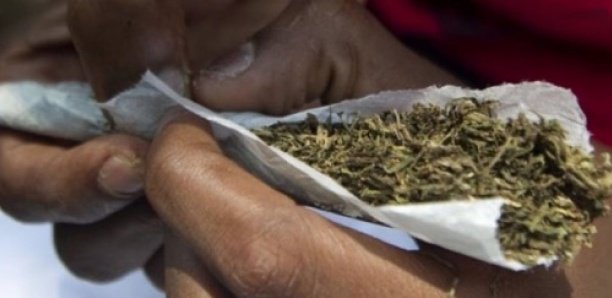 Détention de drogue : Un militaire en service arrêté avec 9kg de chanvre indien.