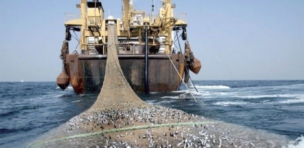 Licences de pêche : «Fu Yuan Yu», l’autre scandale !